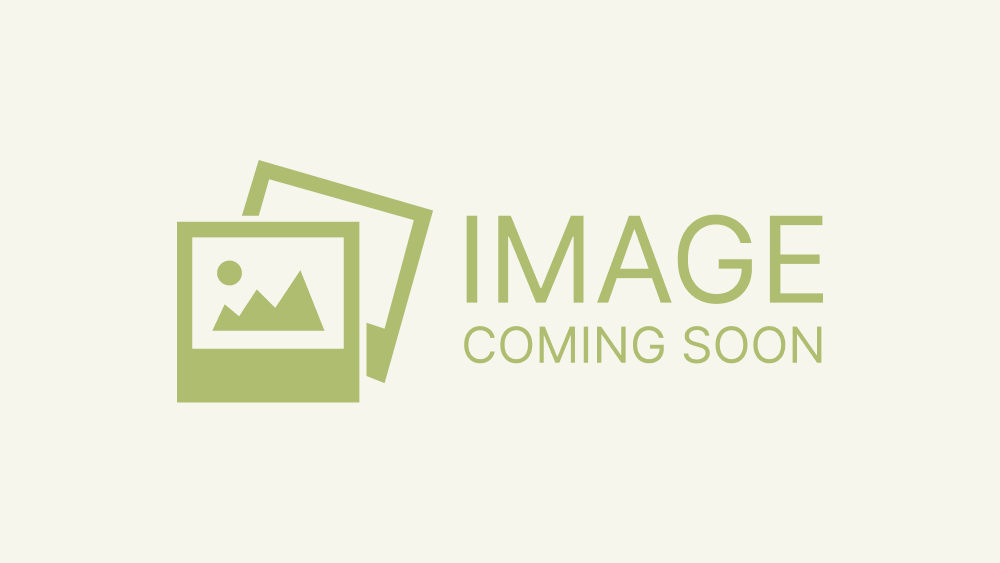 Stay tuned for what’s new!